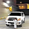 mohammed.alkarbi
