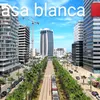 jalal.moumni2