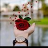 user9074607045781