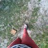 abbie.bergins6