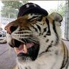 suparut_0413