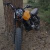 moto_deson
