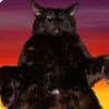 ithinkmycatisaspy