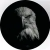 أبـو سـلـطـان🦅