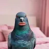 pegiongoooon