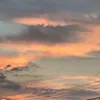 n7547942
