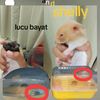 bassie1.k1