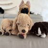 mayasplushdogs