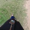 sheladwia7