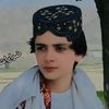 najibkhan6136