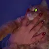 maya131123