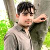 mshakeelsdq462