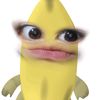 dnda_0z