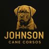 canecorsopupsforsale145