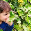 dua.khan7642