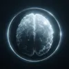 cortex.files