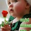 mohamed.fazil784