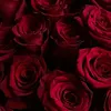 user33007271806154