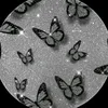 f_xk_2011