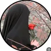 rty_plo