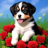 user96251501816790