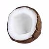 coconuttips_