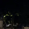 je_boy_zilla