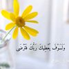 morad.abdarakeb