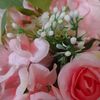 noor___118