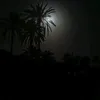 ali.alame90