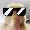so.kool_harharhar