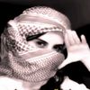 user8791304631955
