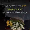 janzebari222025