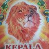 petualang7852