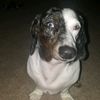 bobbybobbert6
