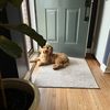 thehiddenleaf22