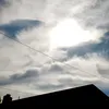 abri_175