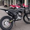 tobrutid2