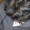 maxito.0708