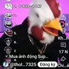 animash750