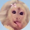 maddydabaddie5