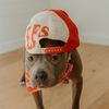 lunathestaffy3