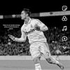 deports_sport