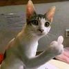 rifat_ahmed_rafi_