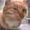 ebelananhdthwne