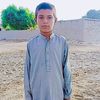 wazeeralizardari24