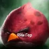 sin_pi_dora