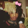 douglas.xxy4