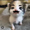 nhincai.l_