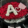 anam.khan2617
